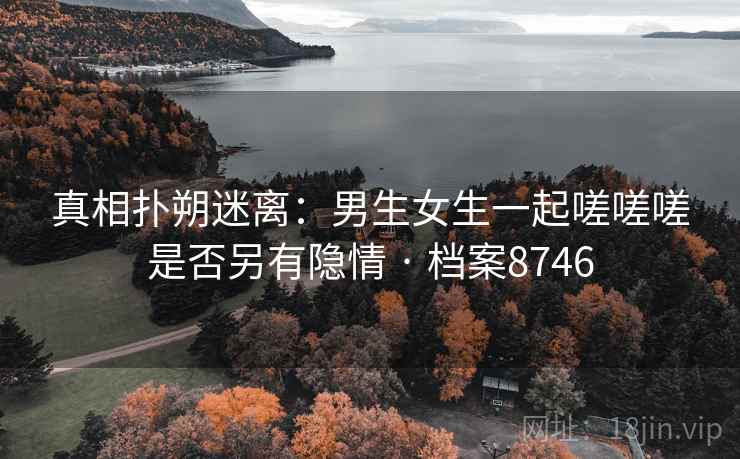 真相扑朔迷离：男生女生一起嗟嗟嗟是否另有隐情 · 档案8746