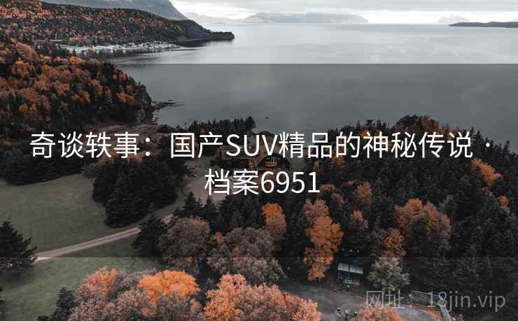 奇谈轶事：国产SUV精品的神秘传说 · 档案6951