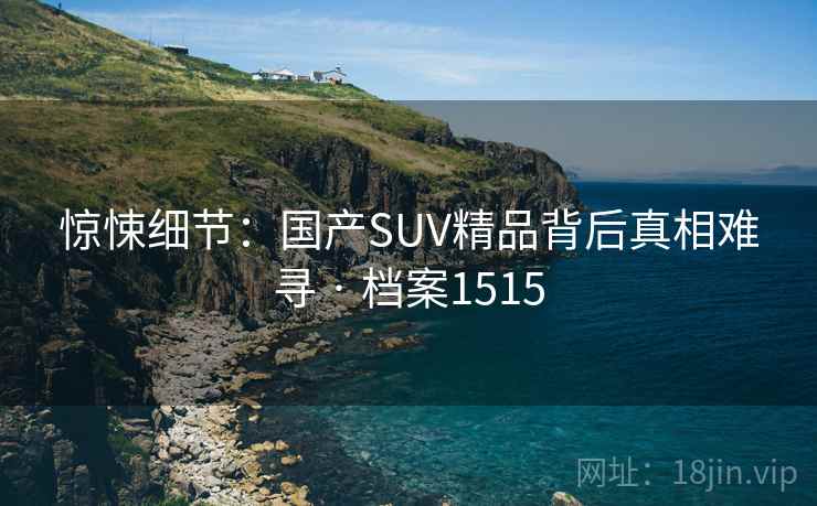 惊悚细节：国产SUV精品背后真相难寻 · 档案1515